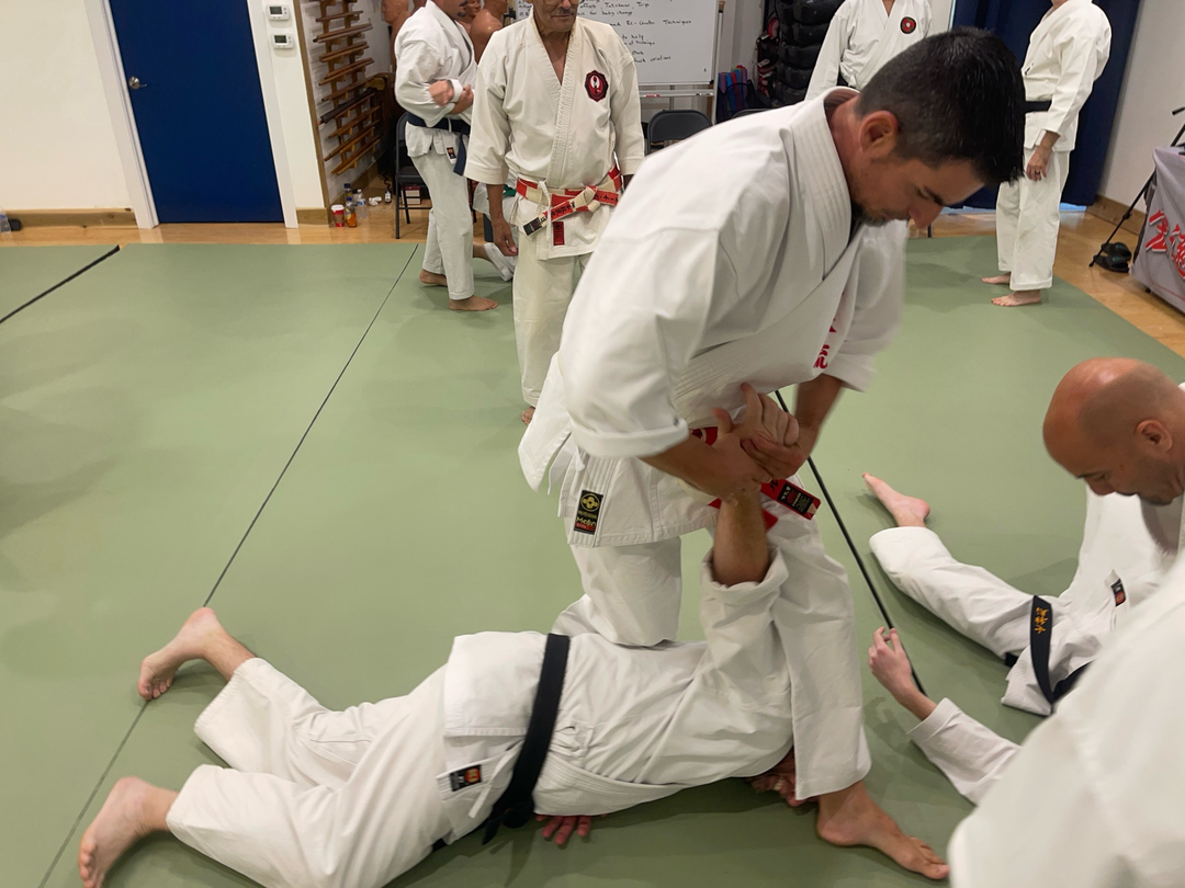 Classical Martial Arts Academy Image