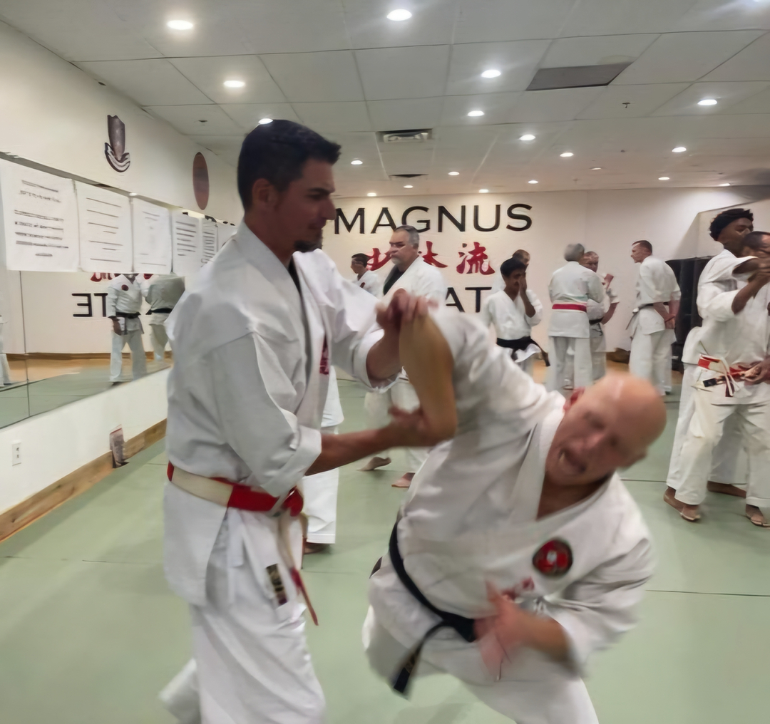 Classical Martial Arts Academy Image