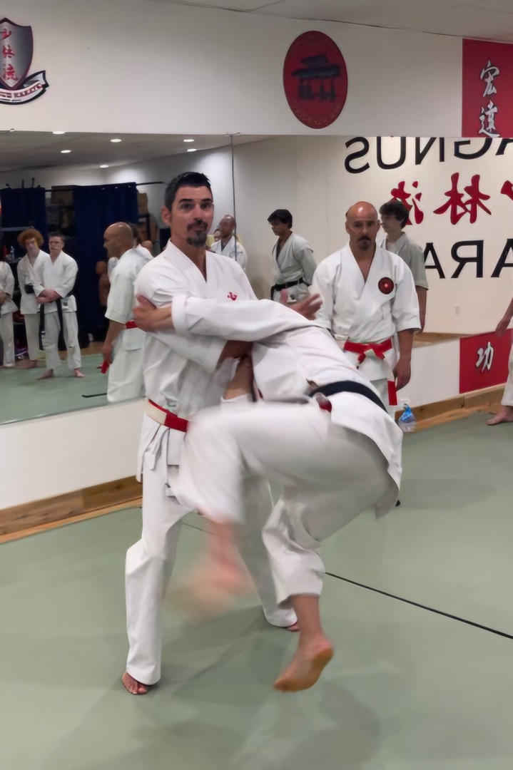 Classical Martial Arts Academy Image