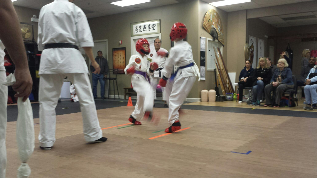 Classical Martial Arts Academy Image