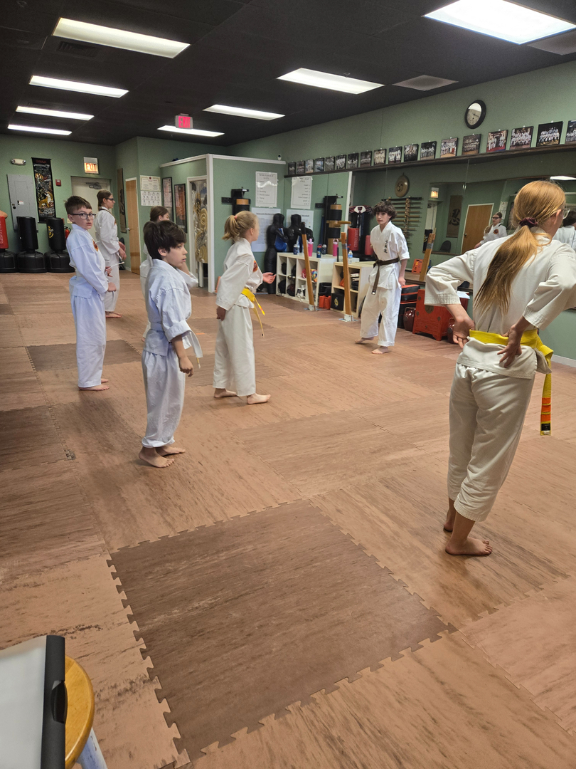 Classical Martial Arts Academy Image