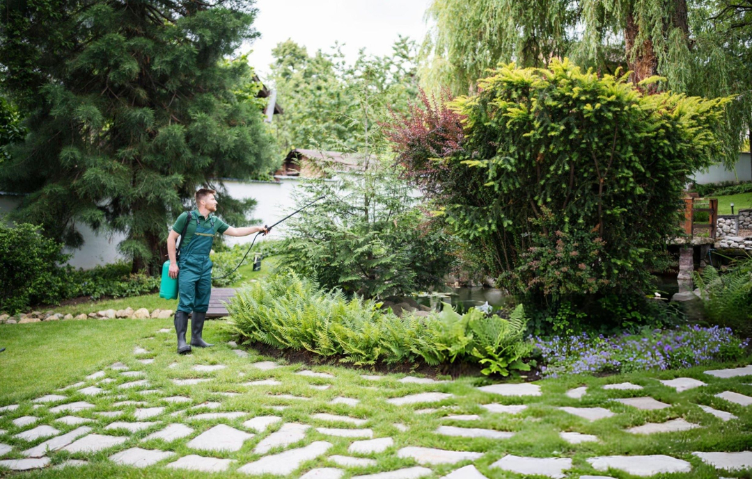 Grand Building Construction Image