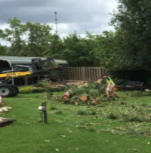 5 Star Tree Service - North Augusta, SC