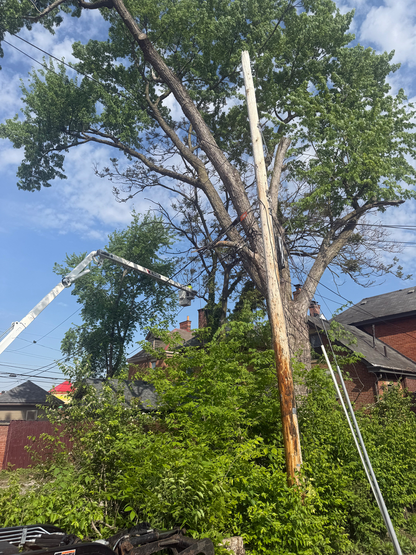 Scotts Tree Experts - Columbus, OH