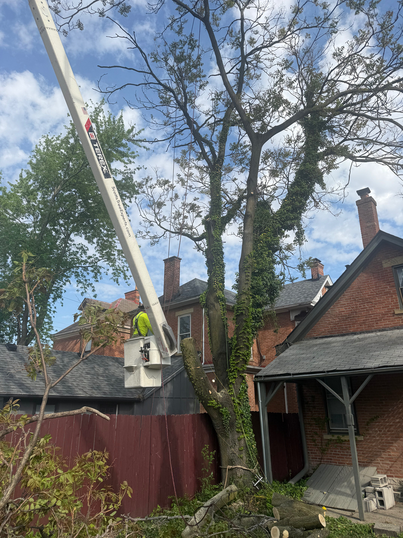 Scotts Tree Experts - Columbus, OH