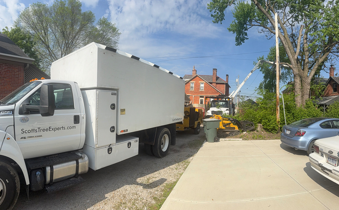 Scotts Tree Experts - Columbus, OH