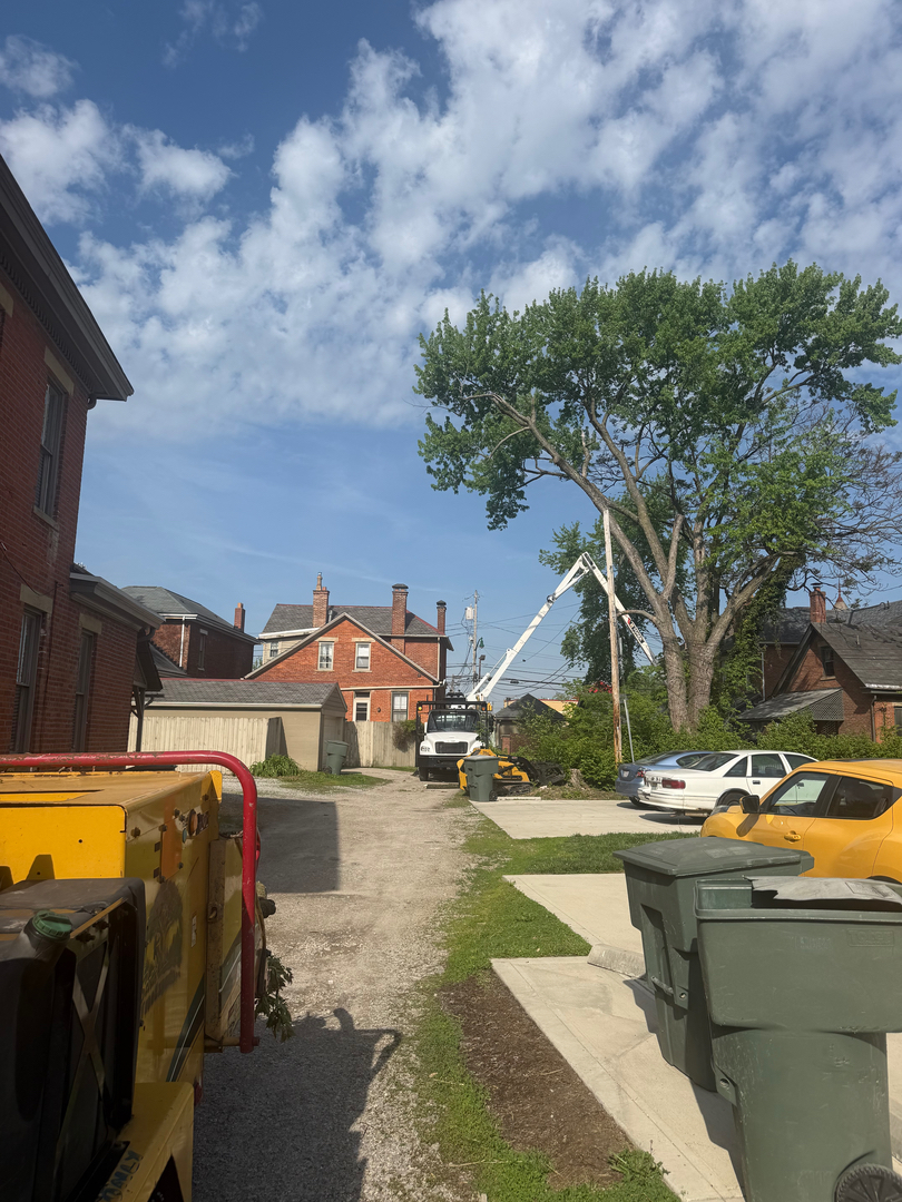 Scotts Tree Experts - Columbus, OH