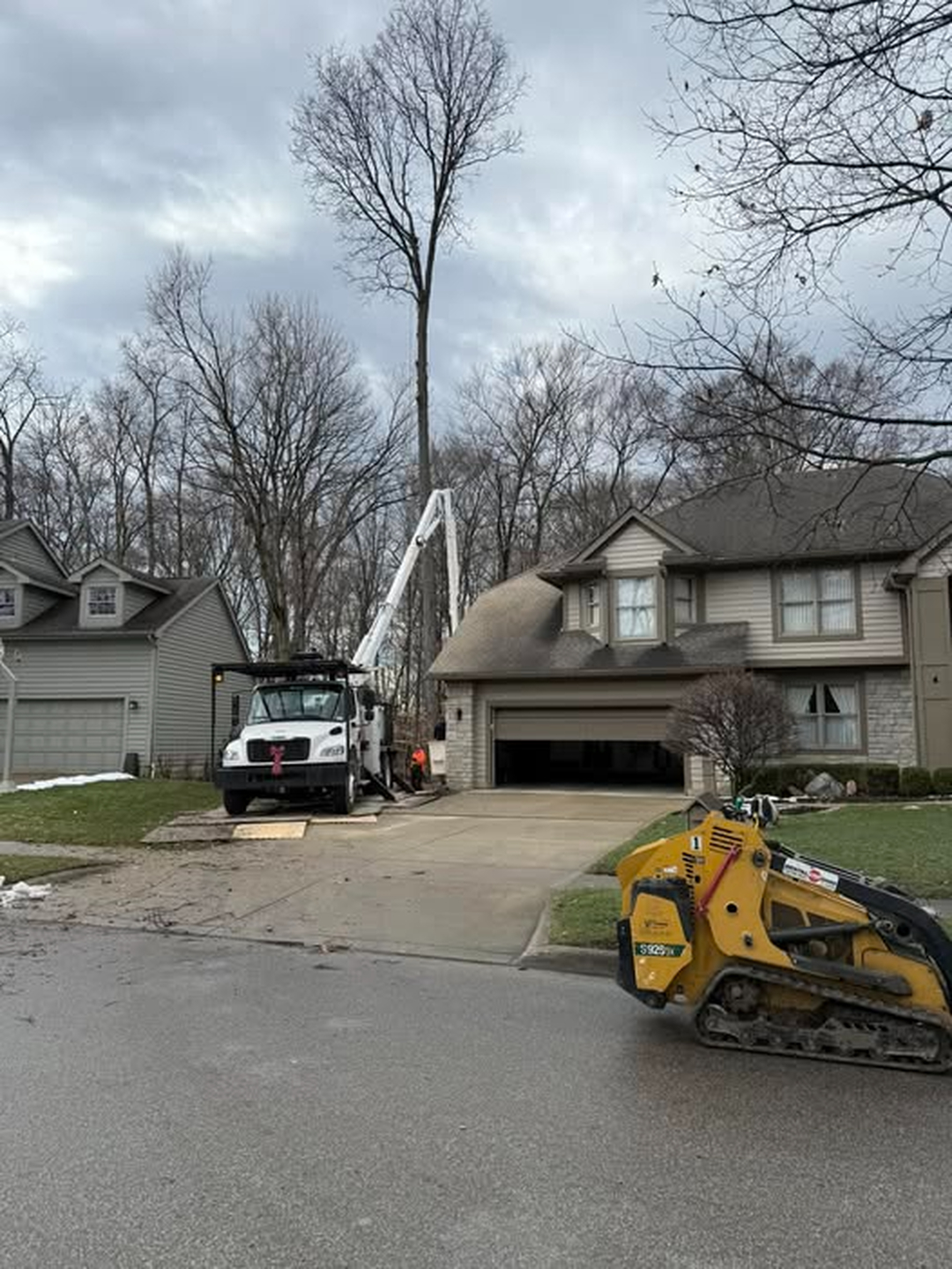 Scotts Tree Experts - Columbus, OH