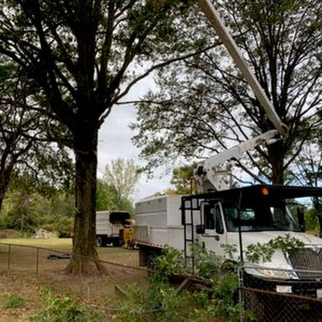 Scotts Tree Experts - Columbus, OH