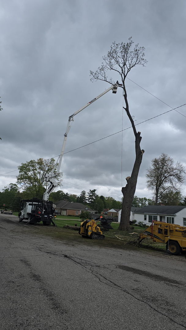 Scotts Tree Experts - Columbus, OH