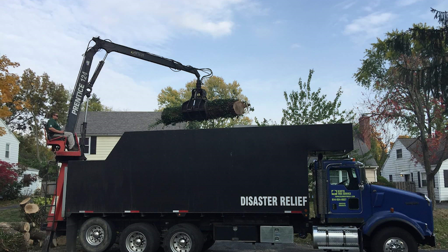 Scotts Tree Experts - Columbus, OH