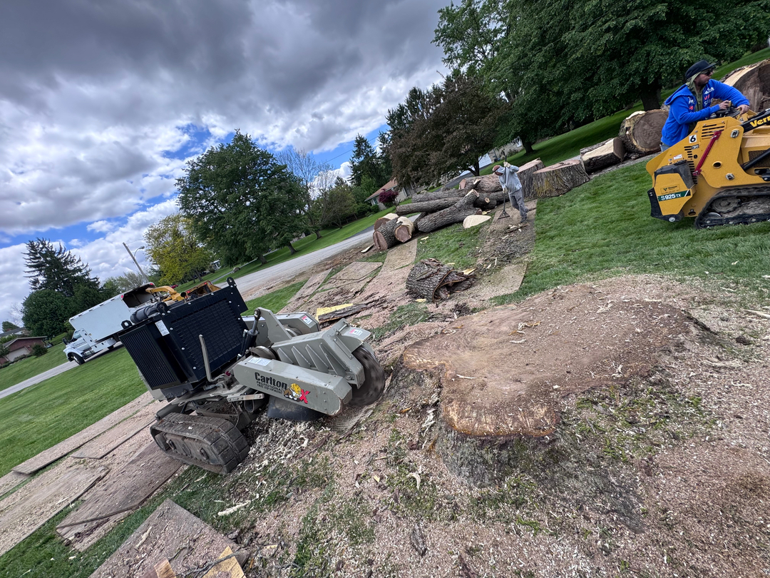 Scotts Tree Experts - Columbus, OH