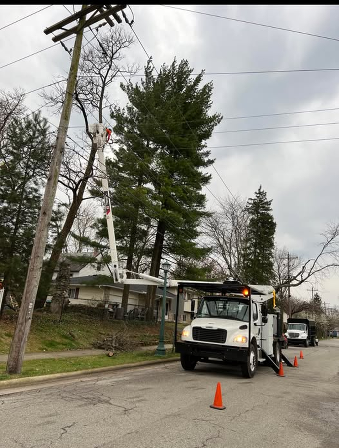 Scotts Tree Experts - Columbus, OH