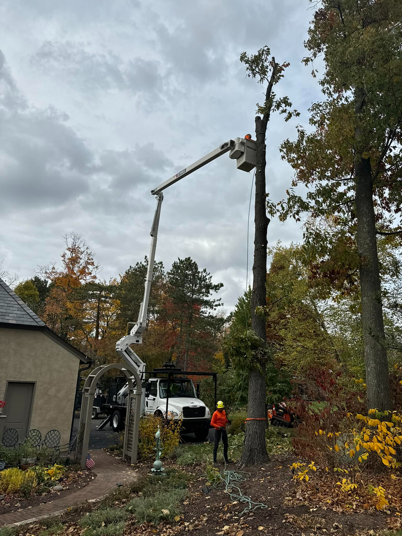 Scotts Tree Experts - Columbus, OH