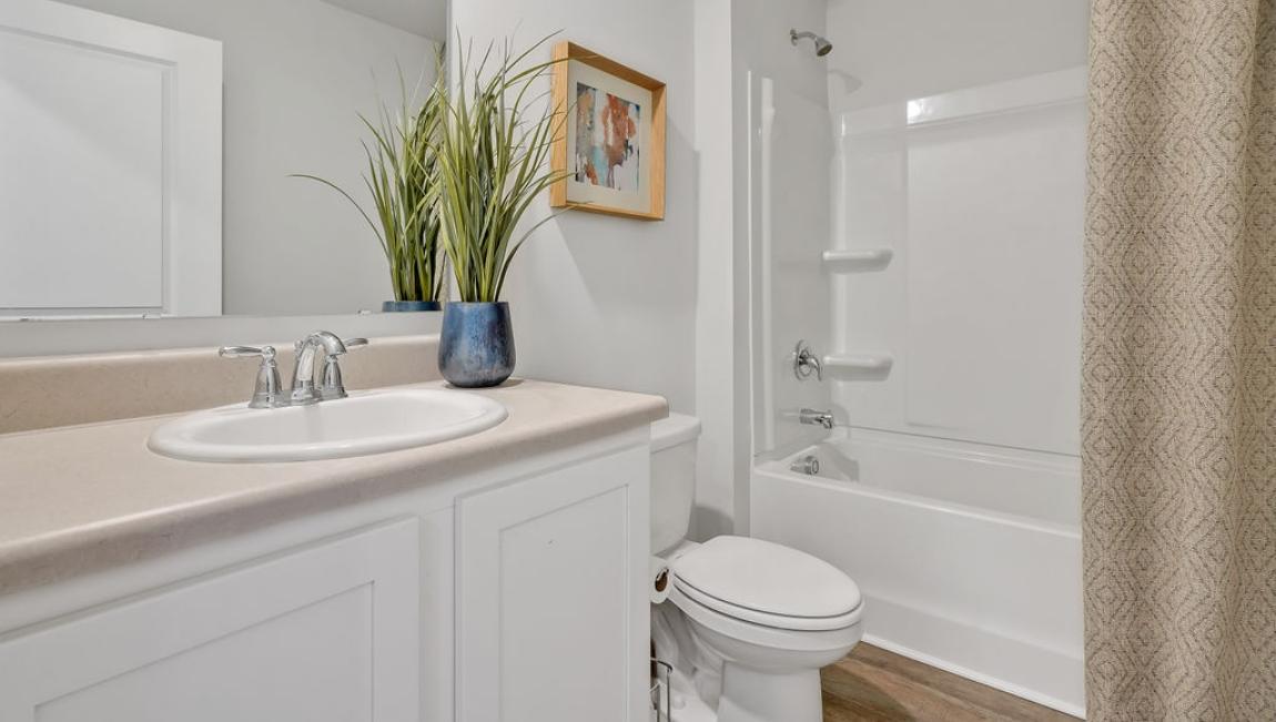 Stella Bluffs by D.R. Horton Image