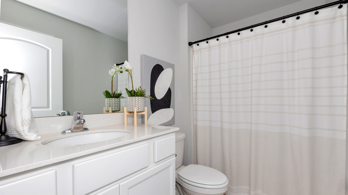 Sequoyah Cove by D.R. Horton Image