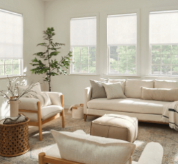 Bumble Bee Blinds of Miami Image