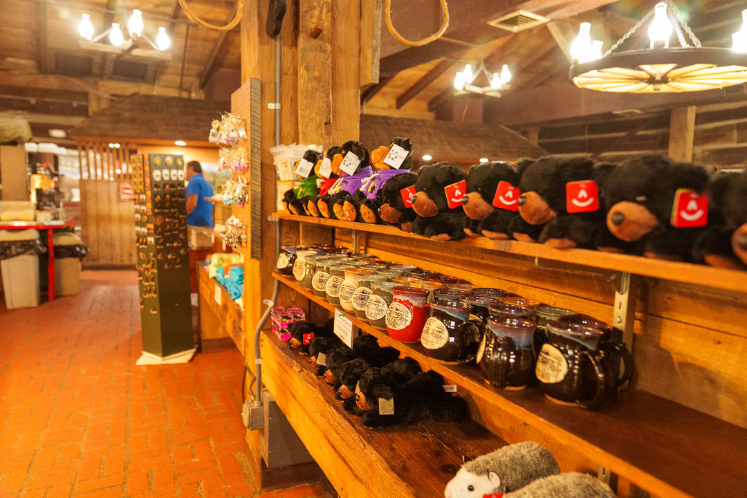 Log Cabin Pancake House - Gatlinburg, TN