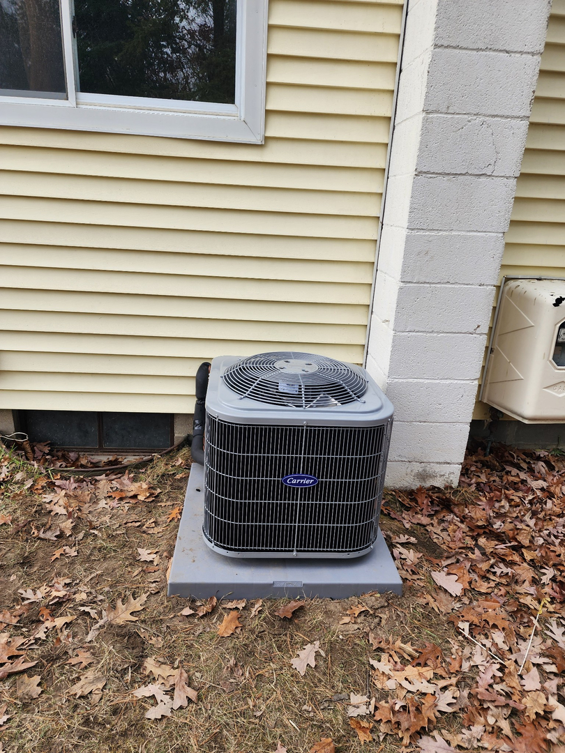 Mammoth Mechanical Image