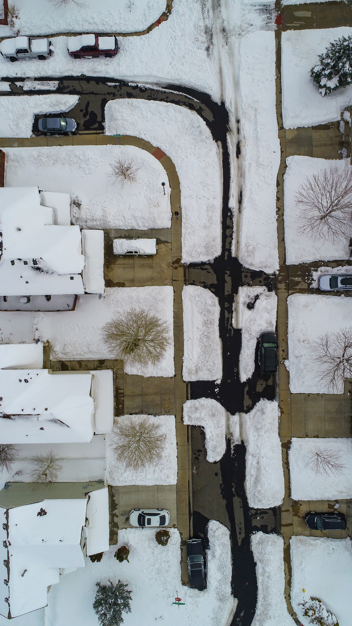 Airborne Insight LLC Image