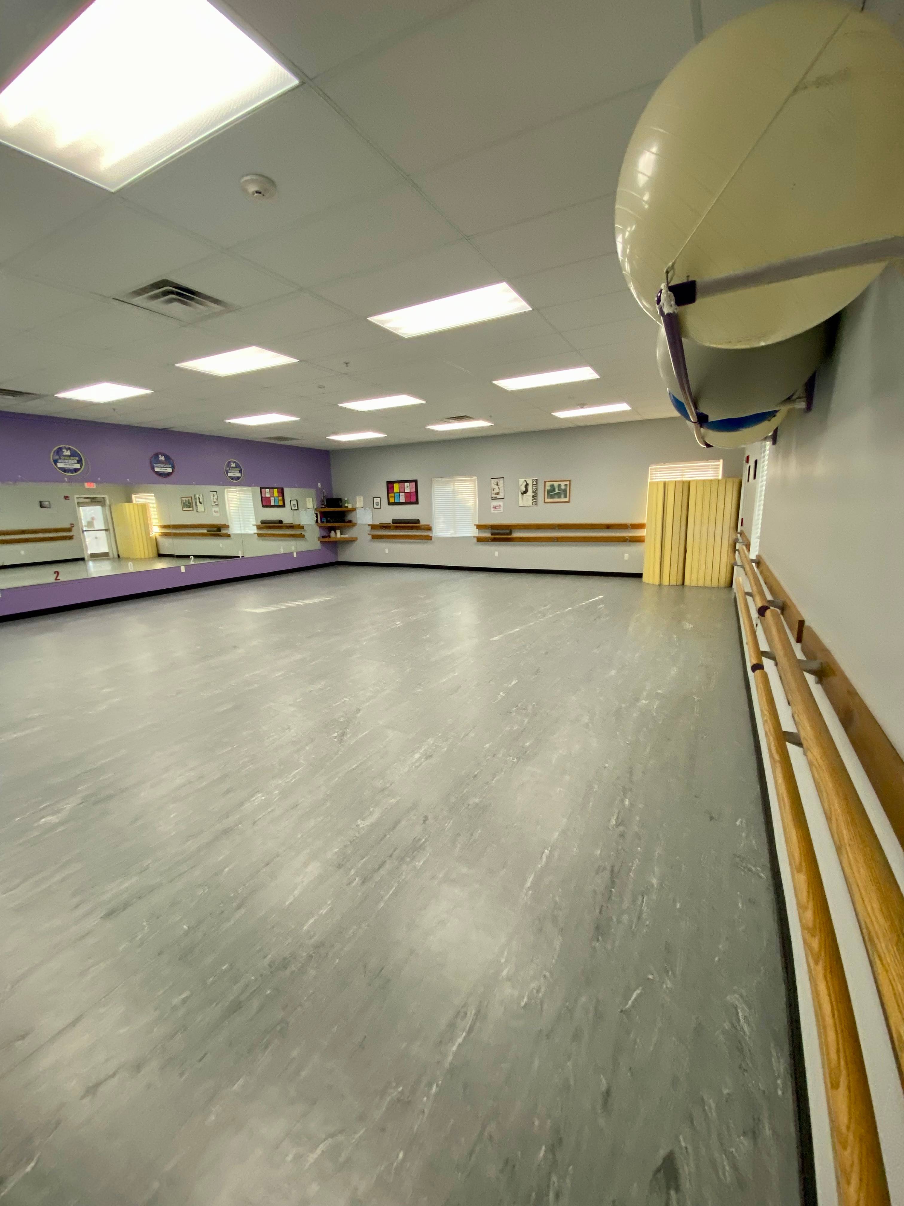 Spezio's Dance Dynamics Image