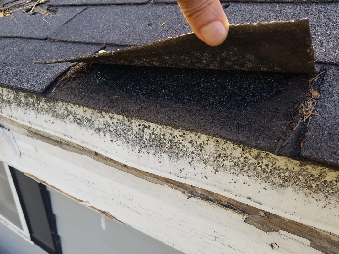 Adept Construction Roofing Image