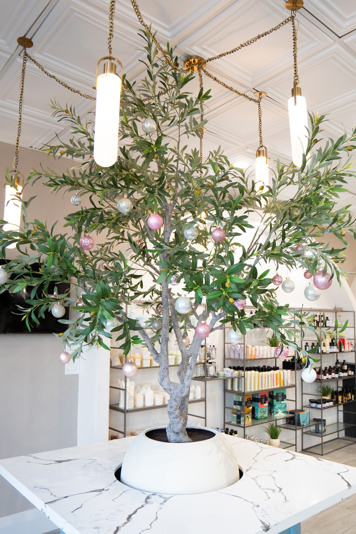 Bronde Blvd Salon - The Woodlands - Magnolia Image