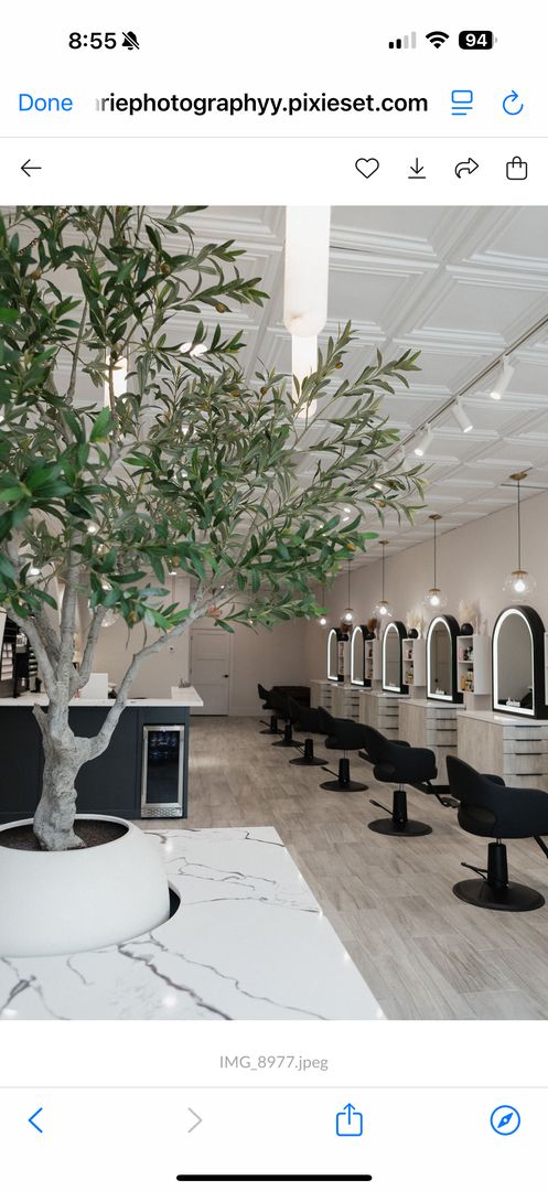 Bronde Blvd Salon - The Woodlands - Magnolia Logo