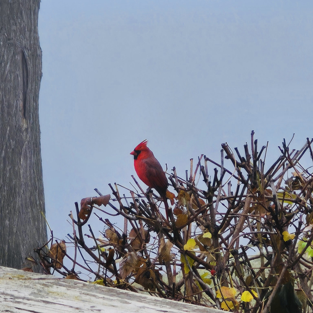 201 Waterfront Dental Image