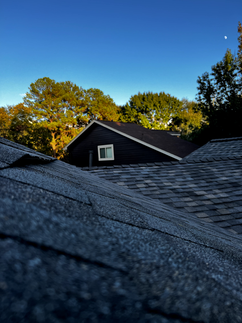 Texas Stag Roofing Solutions Image