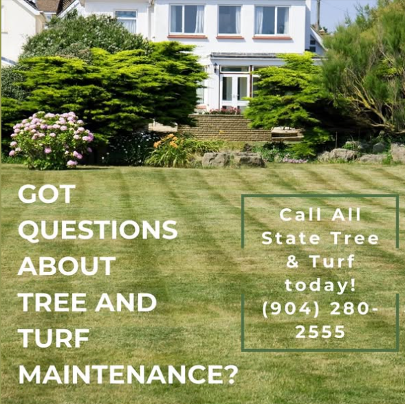 All State Tree, LLC - Ponte Vedra Beach, FL