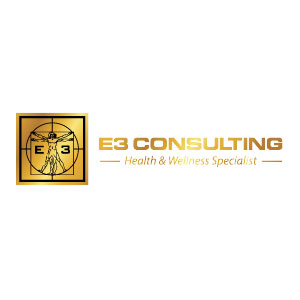 E3 Consulting Corporation