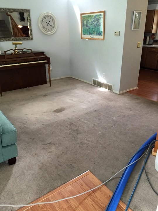 Power Plus Cleaning Image