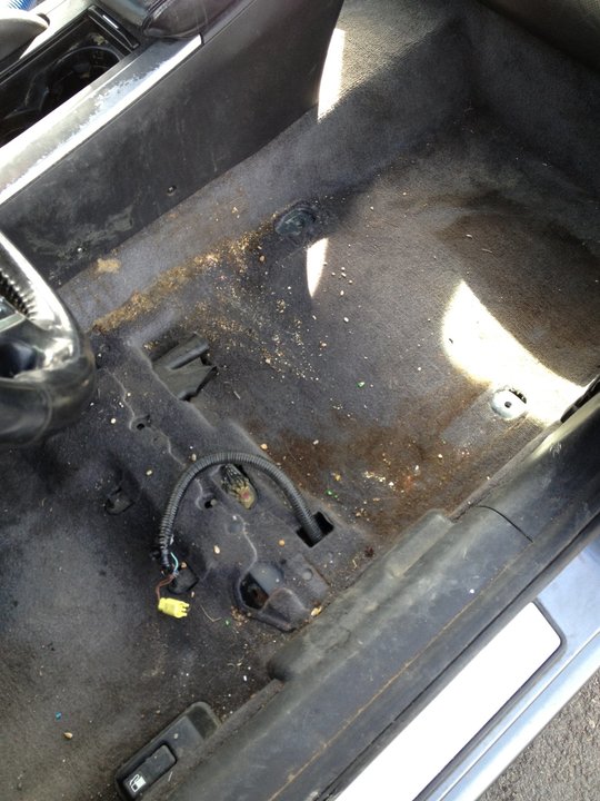 Power Plus Cleaning Image