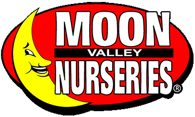 Moon Valley Nurseries in Phoenix, AZ 85032 - (480) 374 ...