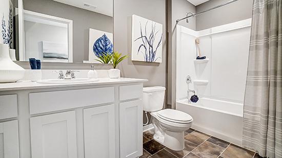 Walnut Mill by D.R. Horton Image