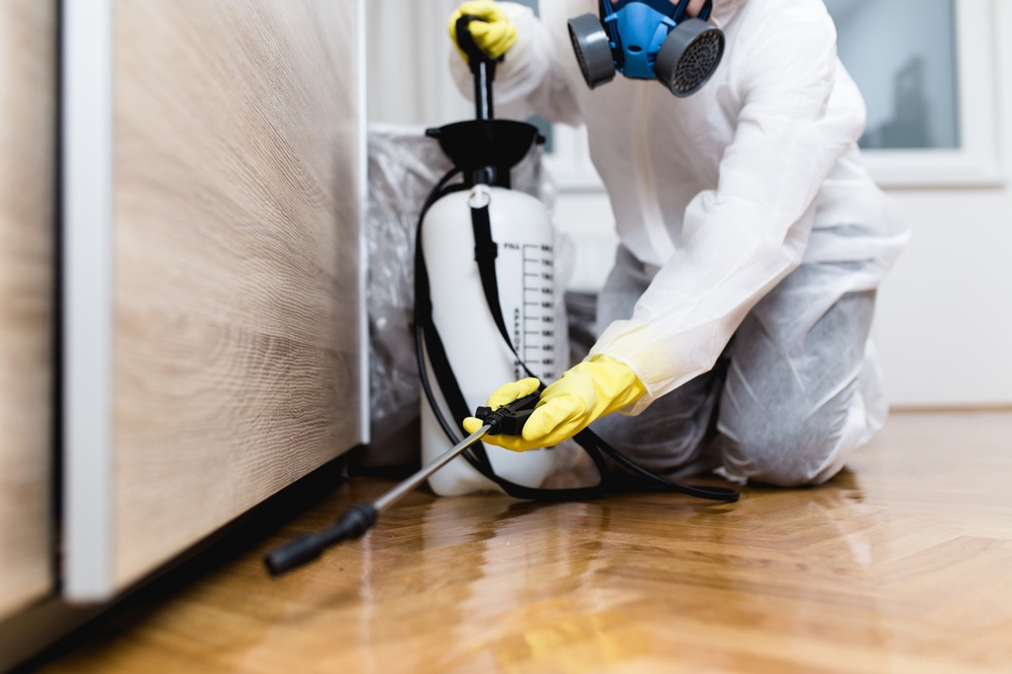 Eagle Pest Solutions - Saint Augustine, FL