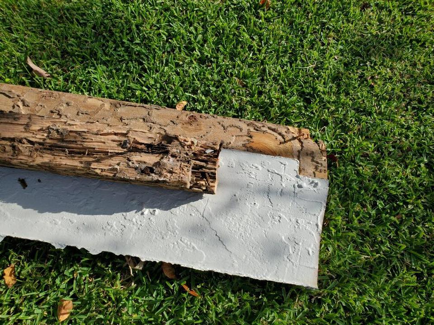 Eagle Pest Solutions - Saint Augustine, FL