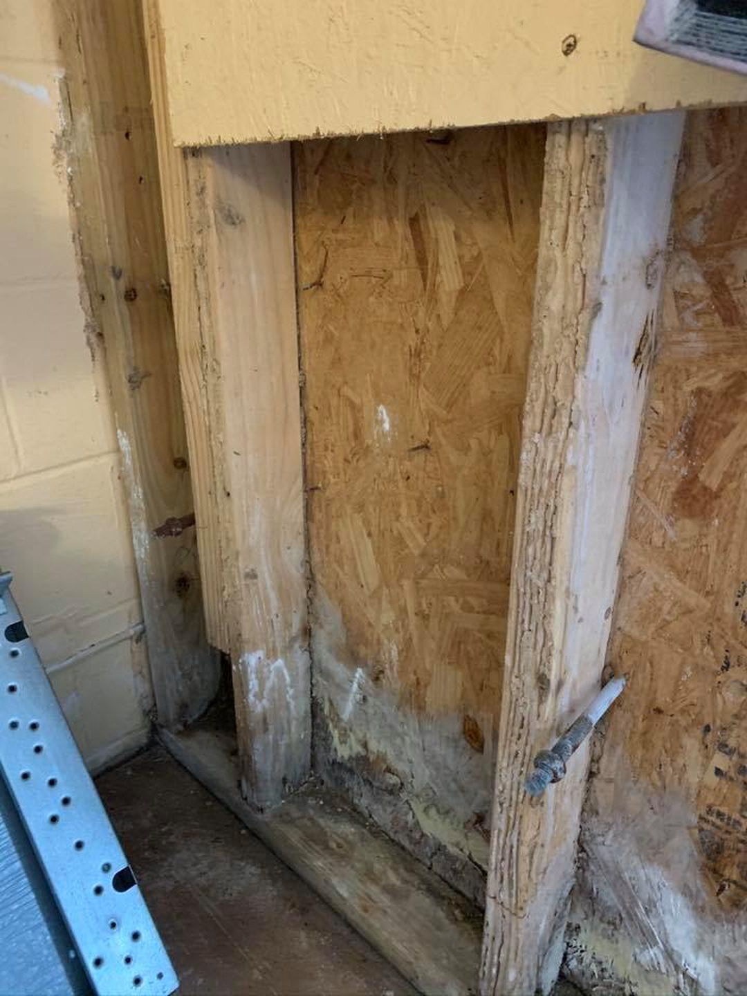 Eagle Pest Solutions - Saint Augustine, FL