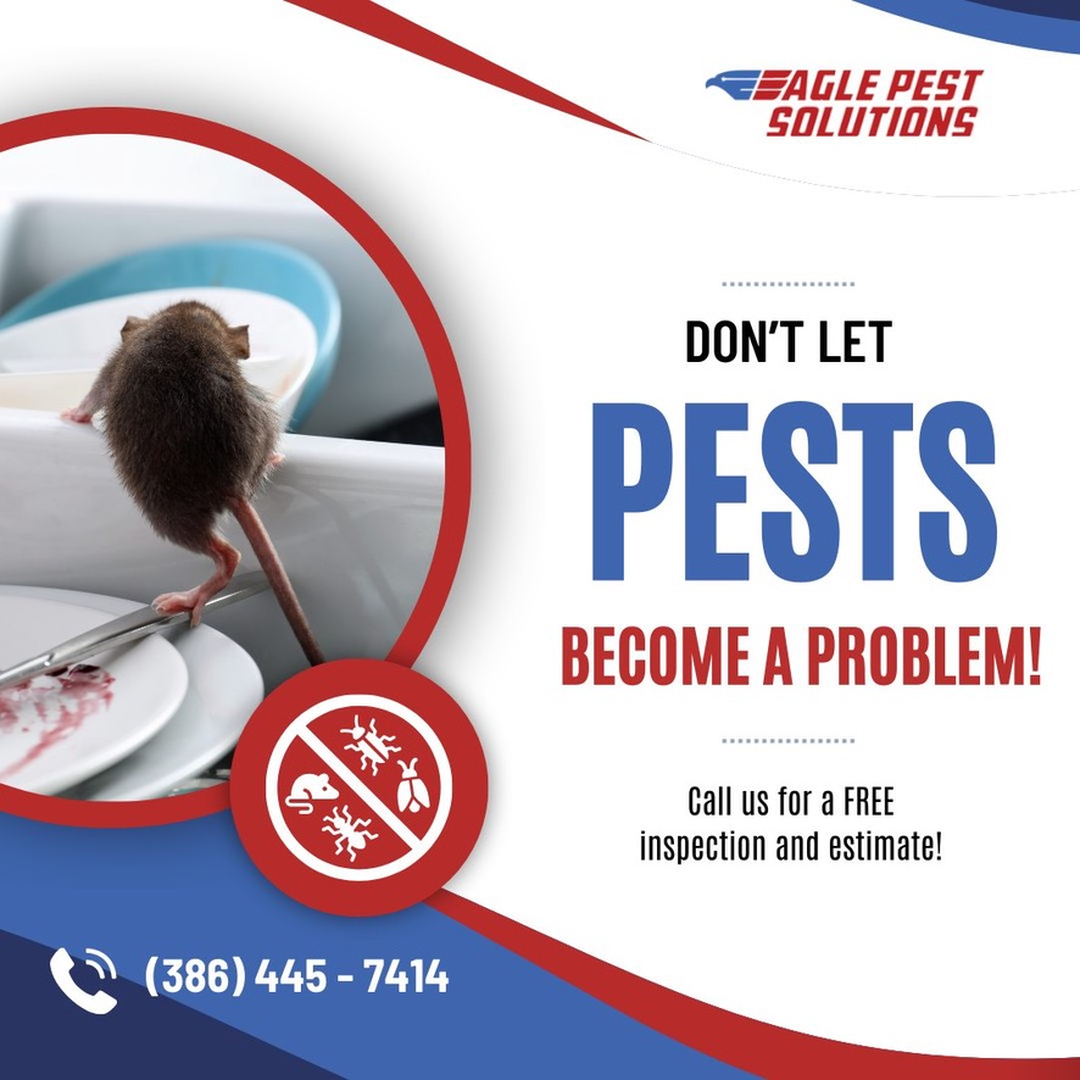 Eagle Pest Solutions - Saint Augustine, FL