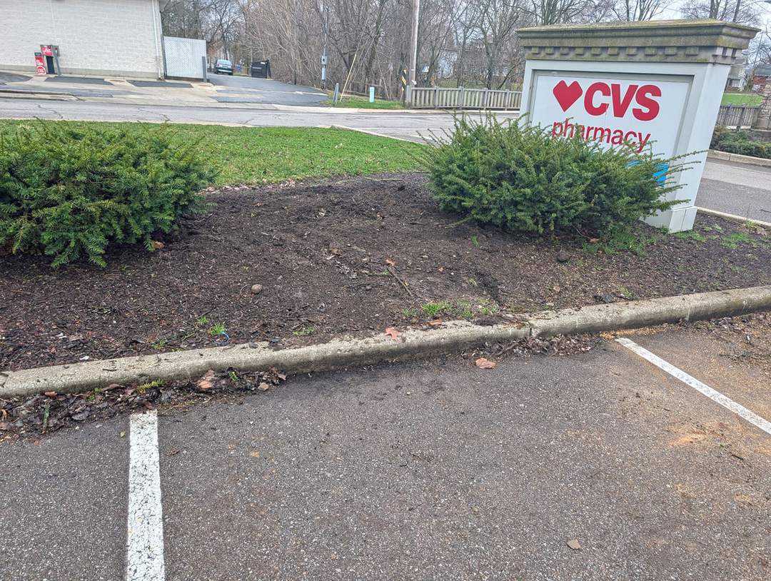 Stitt's Tree Service - Mansfield, OH