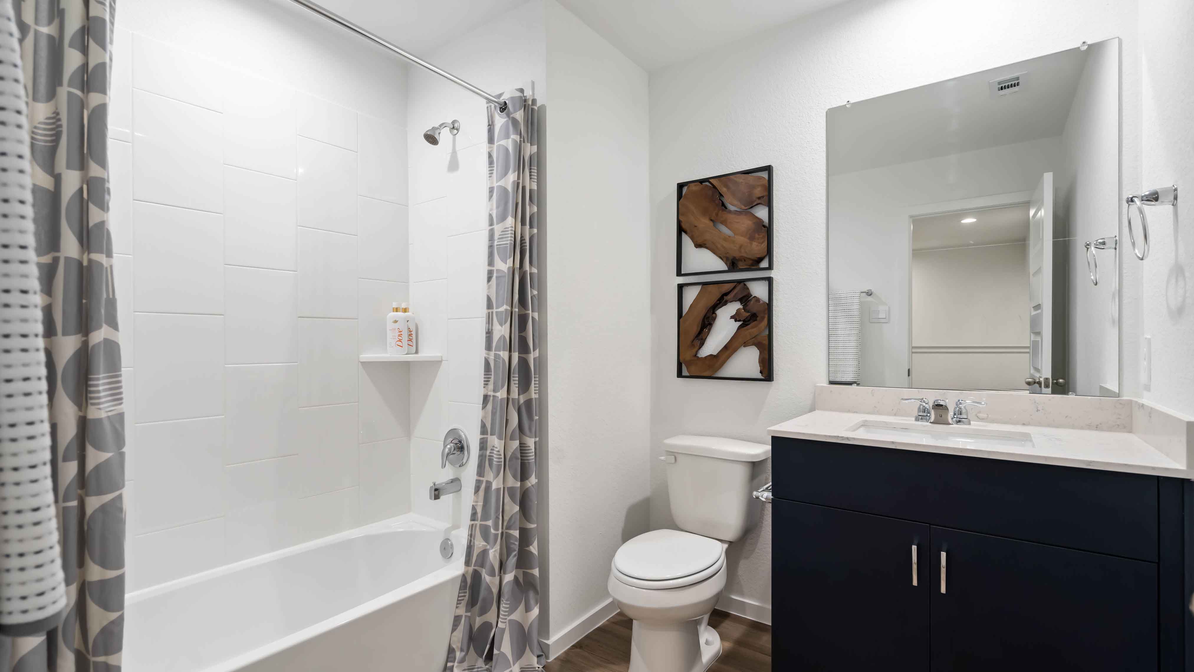 Alaia Crossing by D.R. Horton Image