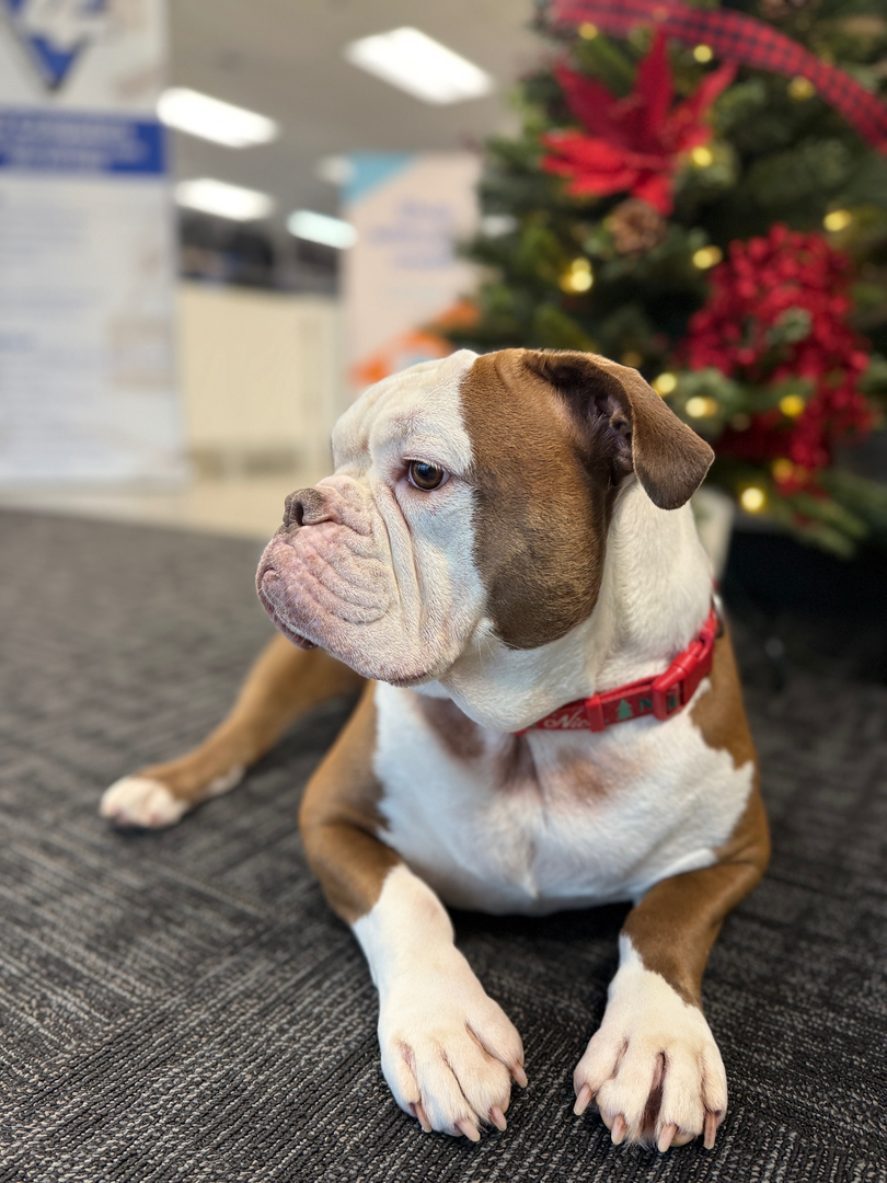 4th Dimension Computers & Technology Image