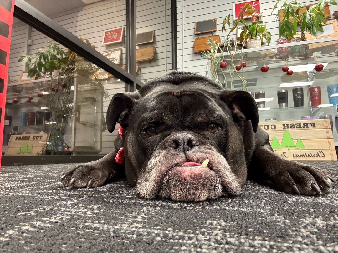 4th Dimension Computers & Technology Image