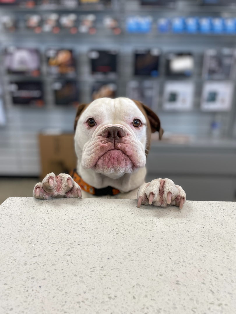 4th Dimension Computers & Technology Image