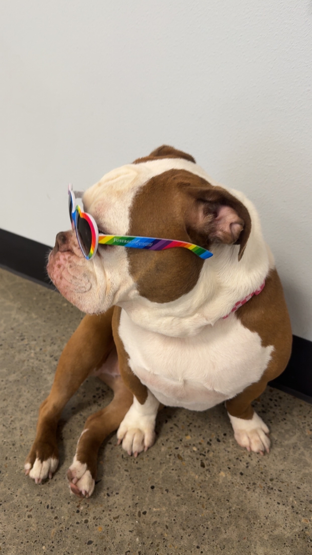 4th Dimension Computers & Technology Image