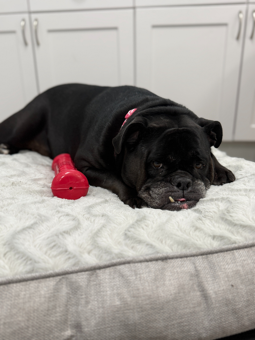 4th Dimension Computers &amp; Technology Logo