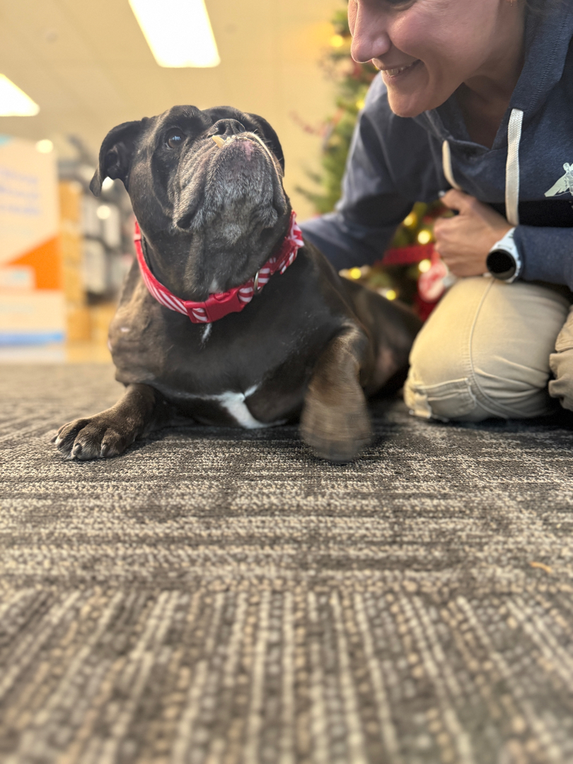 4th Dimension Computers & Technology Image