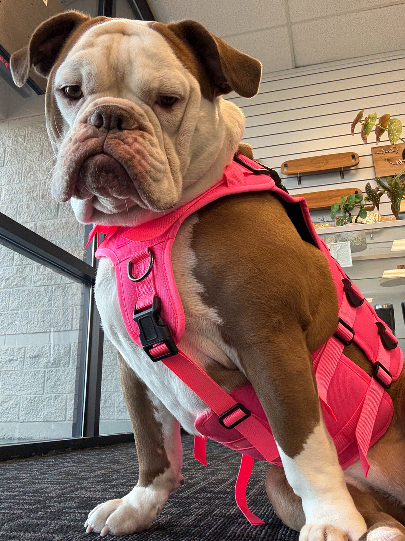 4th Dimension Computers & Technology Image