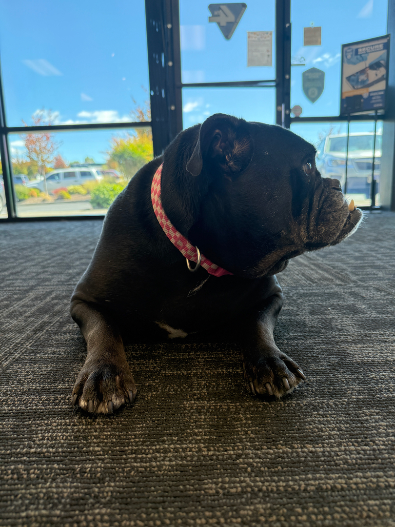 4th Dimension Computers & Technology Image